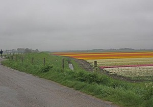 Hotelhuisje Warmenhuizen #B