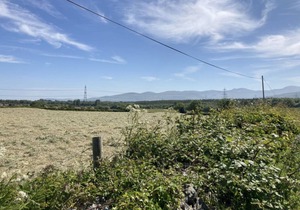 House ∙ 2 bedrooms ∙ 4 guests