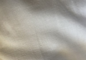 house 2 steps from the beach