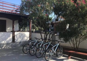 House Adria Sabunike - Apartment Fisherman's hut