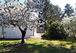 House in Altwarp Siedlung with Private Parking