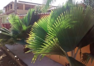 House TAMOIOS CABO FRIO