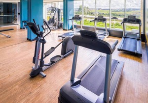 Ibis Styles Confins Aeroporto