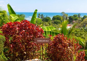 Iguana Apartmentos and Estate Apartment 3