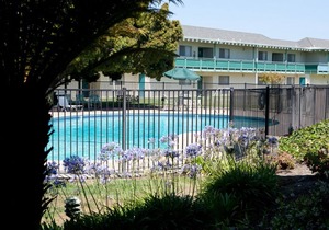 In the Heart of it All! 2 Classy Units, Free Breakfast, Minutes to Oracle Arena