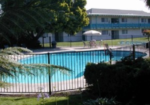 In the Heart of it All! 2 Classy Units, Free Breakfast, Minutes to Oracle Arena