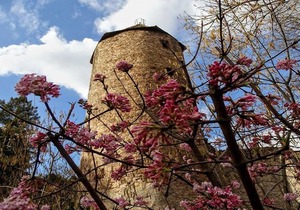 In the heart of Weinheim's old town - live comfortably in harmony with nature!