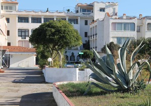 International Resort