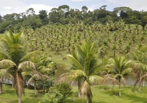 Itacaré EcoRanch Casa