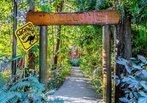 Jackaroo Treehouse Mission Beach