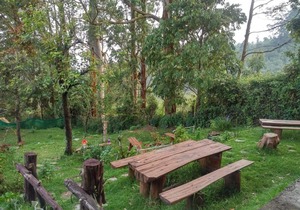 Joel's Cottage