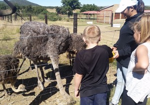 Khululeka Bushveld Guest Farm