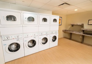 King Suite. Free Breakfast. Pool. Shared BBQ. 30 Min to Oakland Zoo!