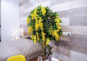 Kstovo Residence Одри на отдыхе