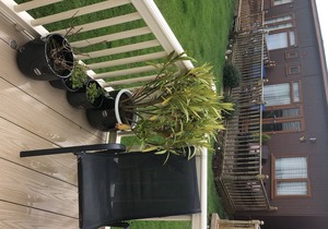 L76 mablethorpe chalet park