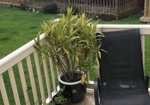 L76 mablethorpe chalet park