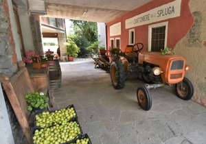 La Cá Vegia by Interhome