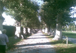 La Vigna del Parroco 'Azzurro' Country house with swimming pool and free Wi-Fi