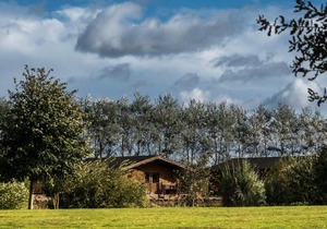 Lake View Lodges - 25072