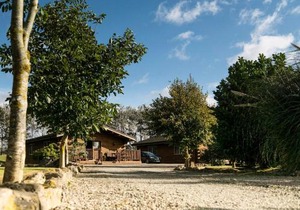 Lake View Lodges - 25072