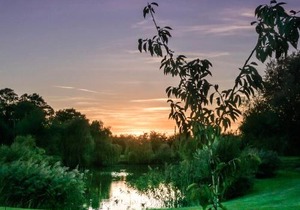 Lake View Lodges - 25076