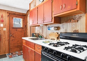 Lakefront cabin at Scott’s Twin Lake Resort with swimming beach, docks & firepit