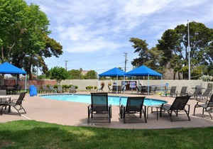 Las Vegas Camping Resort Cabin 5