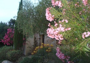 Le Bois de Capra Scorsa Villa 5