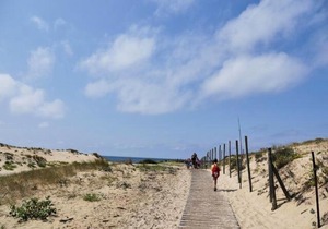 Les Dunes de CONTIS