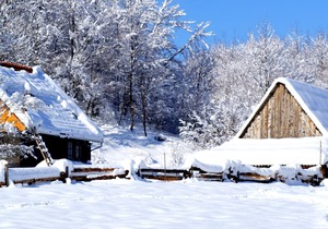 Linden Tree Retreat & Ranch