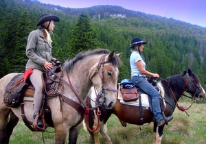 Linden Tree Retreat & Ranch