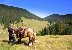 Linden Tree Retreat & Ranch
