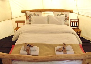 Linden Tree Retreat & Ranch