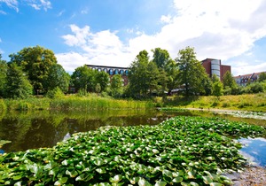 Living Hotel Weißensee