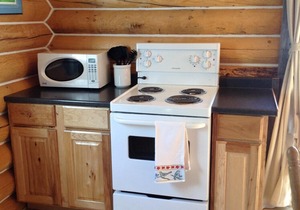 Log Cabin with Amazing Mountain & Lake Views (pet-friendly)