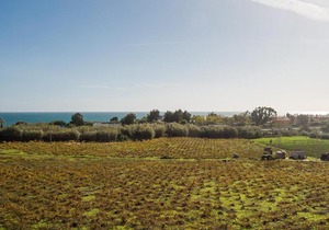 Los Hidalgos Golf 6C3