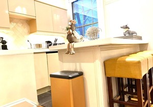 LOVELY 1 - BEDROOM APT⚡️HISTORICAL BUILDING⚡️ CENTRAL CAMBRIDGE