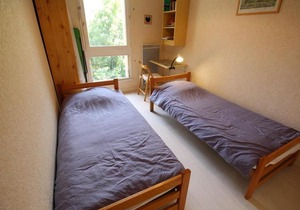 Luchon - T2 avec balcon, animaux admis, parking - FR-1-313-146