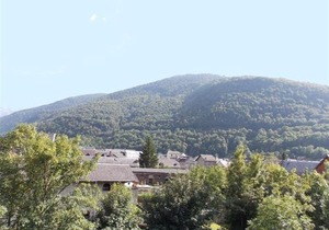 Luchon - T2 avec balcon, animaux admis, parking - FR-1-313-146