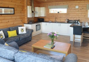 Luxurious and contemporary Finnish log lodge.