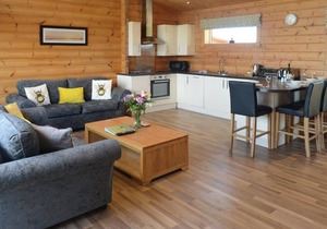 Luxurious and contemporary Finnish log lodge.