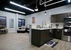 Luxury 1-Bedroom Loft in the heart of Dearborn