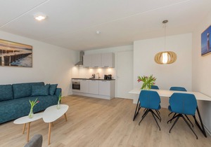 Luxury 3-person apartment | Zoutelande