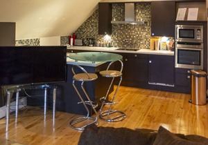 Luxury Apt No. 2 - One Bed Apartment (Sleeps 4)