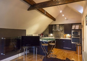 Luxury Apt No. 2 - One Bed Apartment (Sleeps 4)