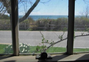 Luxury Rose Covered Cottage