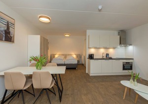 Luxury studio 2 pers | Zoutelande | Pet