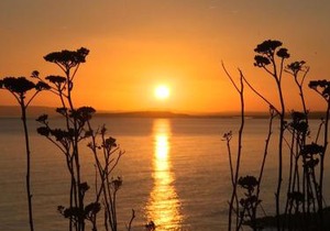 Luxury Woodland Retreat Holiday Home - Shorefield Country Park