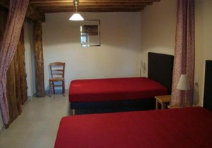 Maison de caractère avec grand terrain, proche d'Arlempdes, labels ECOGÎTE et Tourisme & Handicap - FR-1-582-118