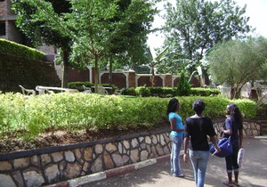 Manhattan Guesthouse